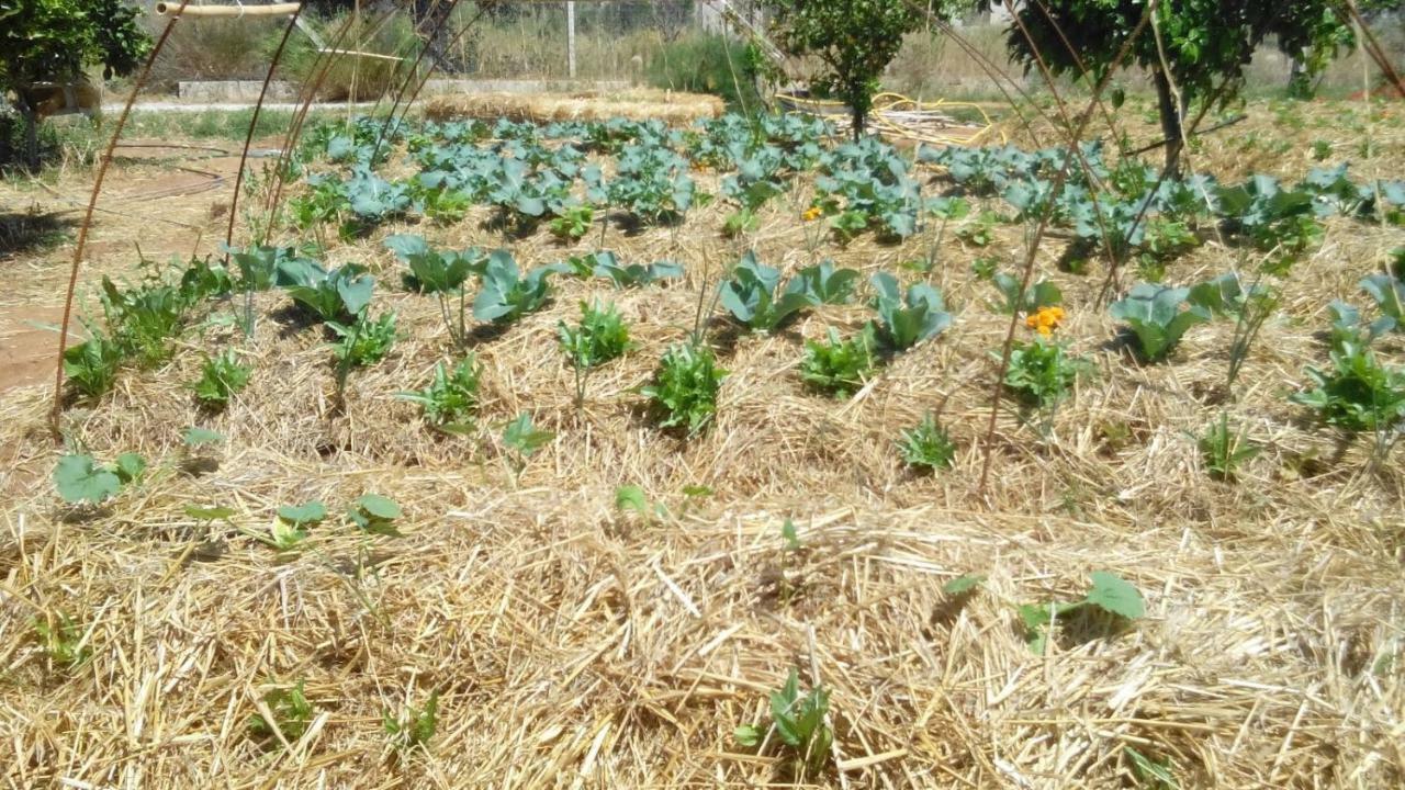 Il Filo Di Paglia Acomodação com café da manhã Comiso Exterior foto